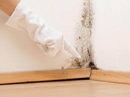 Reliable Valle Vista, CA Mold Removal Solutions